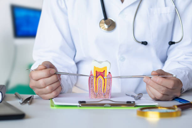 Best Tooth Pain Emergency Relief  in Fort Pierce North, FL